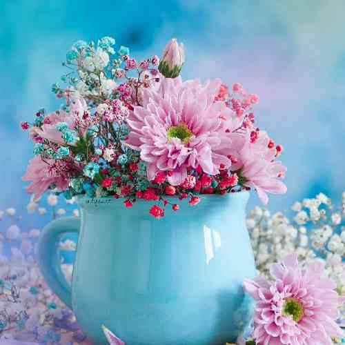 فازا فضاییه جو سنگینه کوچه های اطرافو بستن دیگه یکی یه چی دستم میده